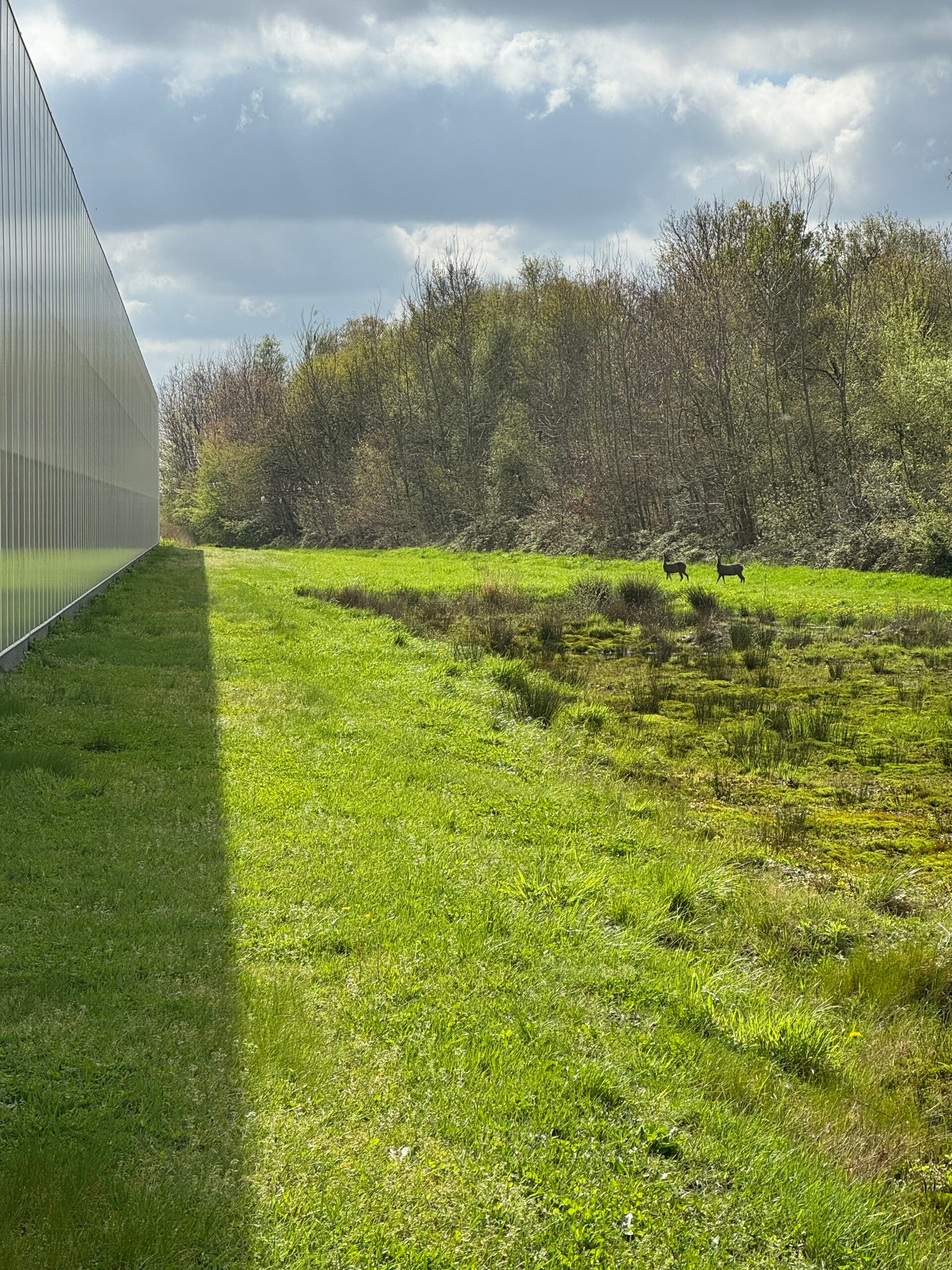 Zonnepark van tv komkommers