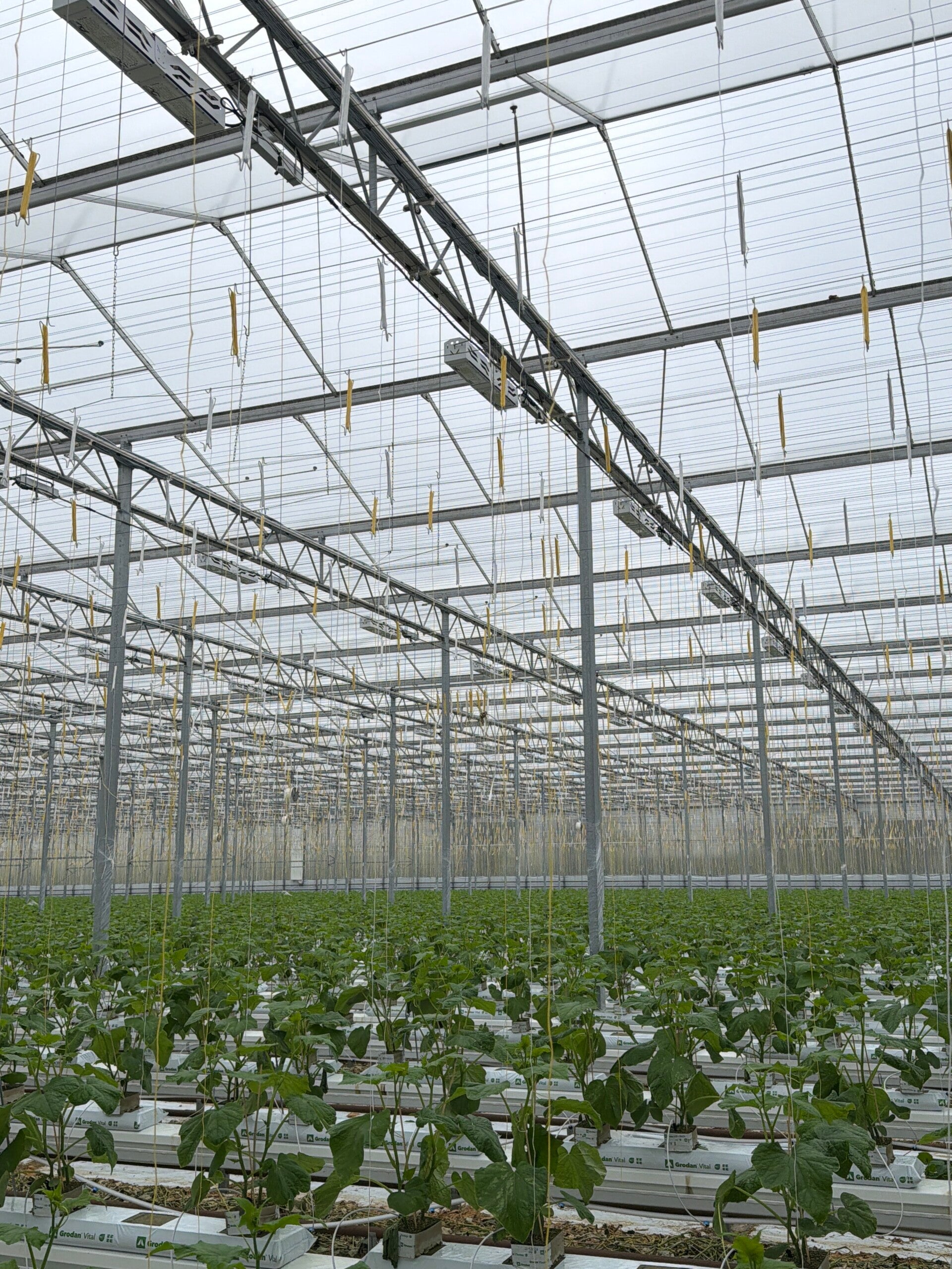 LED-verlichting in de kas